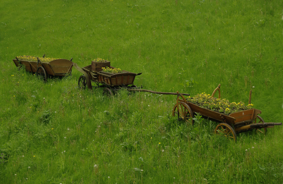 20100529114920_Krynica_17