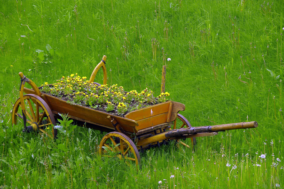 20100529115040_Krynica_13