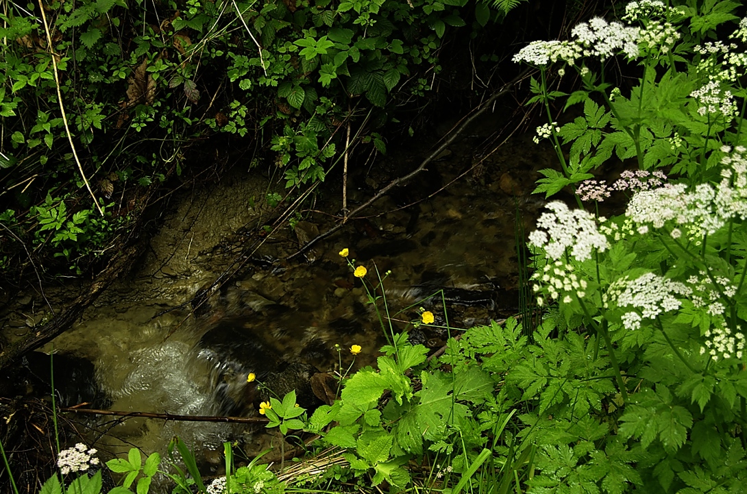 20100529100629_Krynica_04