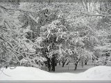 winter06.jpg