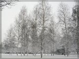 winter15.jpg